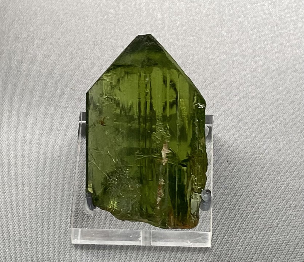 andersonmineral's tweet photo. My attempt at festive: this almost tree shaped specimen of the mineral variety peridot!! This one is from Zebirguet, Egypt. #MineralMonday #GeoscienceTwitter https://t.co/FJkdvcpDHt