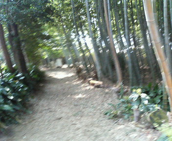 masterflat_mk2's tweet image. 