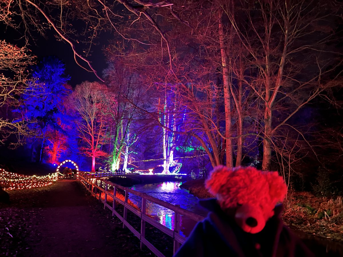 FlynnTheBear's tweet photo. Escaped! #Flynn #FlynnTheBear #BishopAuckland #BishopsPalace #Aglow https://t.co/gUtBncG1op
