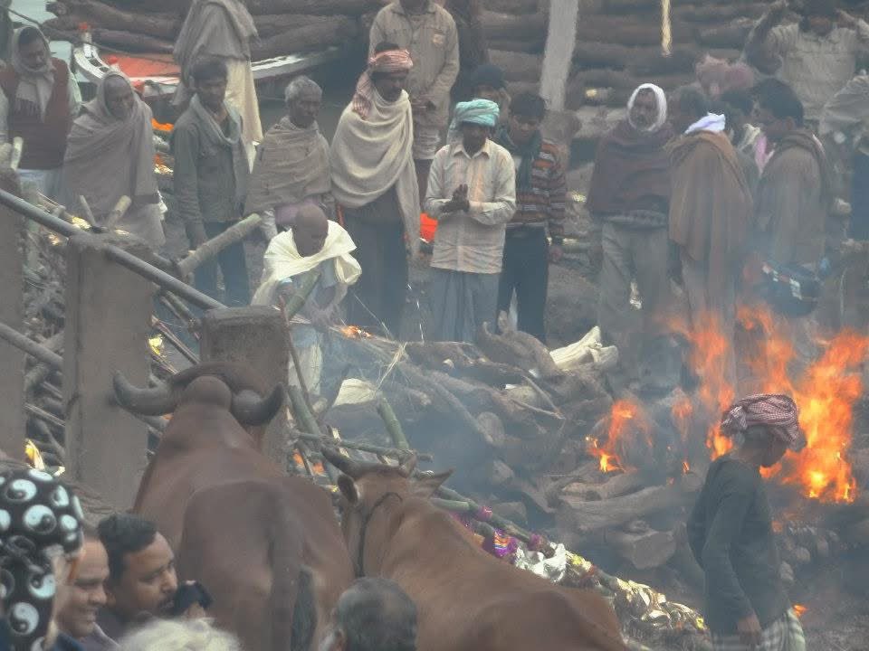 wildswimmer67's tweet photo. #IncredibleIndia memory moments…🇮🇳 #India #people #travel #natgeo #life #peopleinindia #streetphotography #Varanasi #darjeeling #Himalaya #funeralpyre https://t.co/V0QbkV16Zj