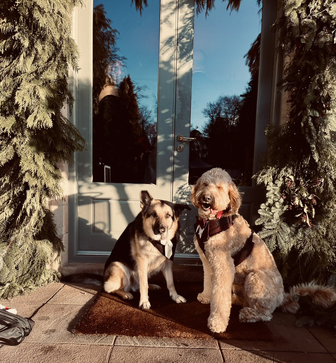 MattThompson91's tweet image. 💫 To the family you were born with, and the family you make along the way!

🥂 Stunning day for @BryanDando1 &amp;amp; Christina at the amazing @CromlixHotel! 

💙✨👫 👰🏼‍♀️ 💍 🐾 🥃 🍷 🎉🏴󠁧󠁢󠁳󠁣󠁴󠁿 

#newlyweds #dogsatweddings #cromlixhotel #scottishweddings #christmaswedding #thebrideandgroom