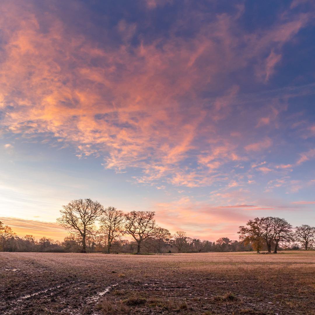 SolihullUpdates's tweet photo. Good Morning #Solihull, Happy #ChristmasEveEve! #2DaysUntilChristmas
#Monday will start dry and bright. Becoming cloudy during the afternoon with rain expected this evening. Feeling chilly. Highs of 7°C & Lows of 3°C
(Image: @No1GhostDog). https://t.co/TvixKE5MWZ