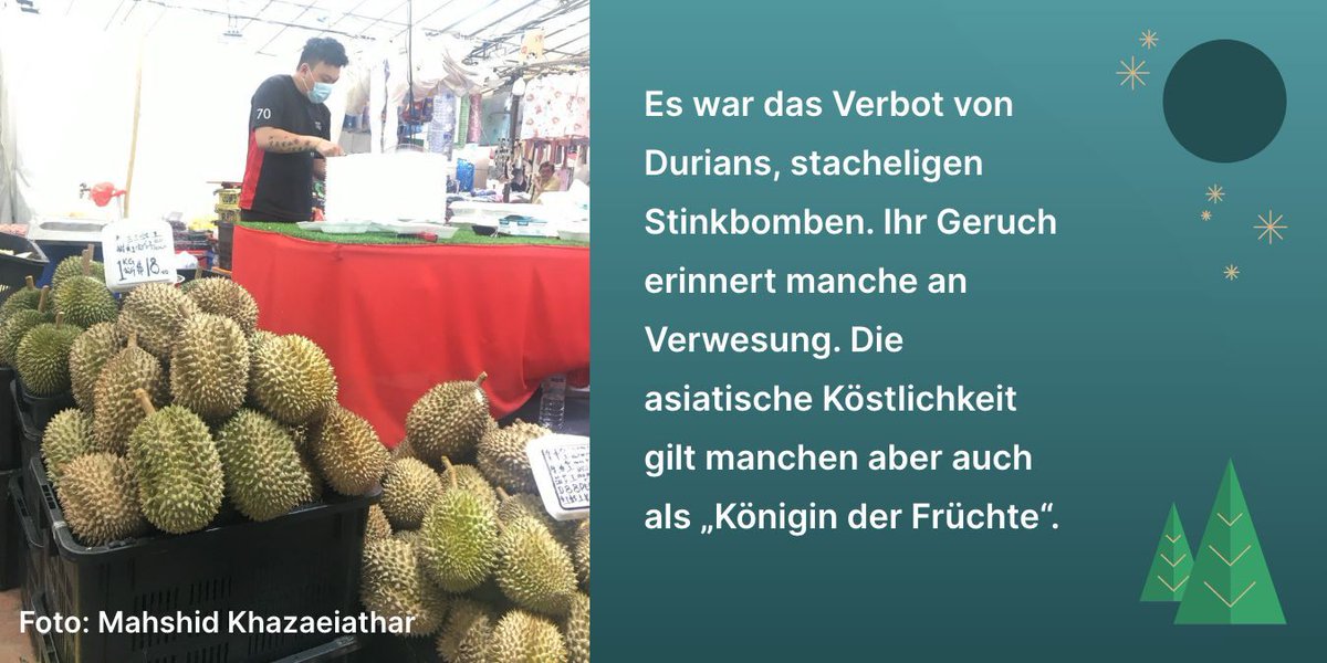 🎄✨ Jahresrückblick 2024: Fun Facts ✨🎄  

Wir wünschen allen frohe Weihnachten und verabschieden uns mit zwei Fun Facts in die Weihnachtszeit! Genießt die Tage!