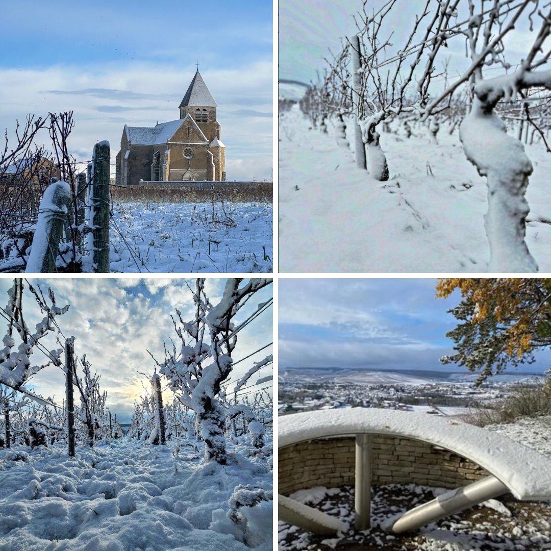 vinsdechablis's tweet photo. ✨Les vins de #Chablis vous souhaitent de merveilleuses fêtes et une fin d'année pleine de douceur et de partage. À très bientôt pour de nouvelles découvertes en 2025 !
❄️📸 Souvenirs du 22 novembre 2024 par les chablisiens. https://t.co/10qVU0pZXQ