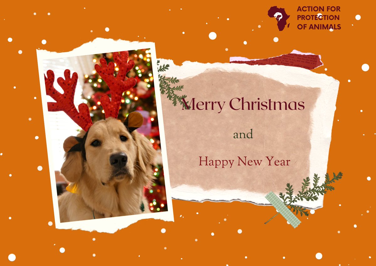 As we enter this festive season, here is wishing you a safe and Merry Christmas and a blessed 2025🎊🎉🍾🍾. See you all in the New Year