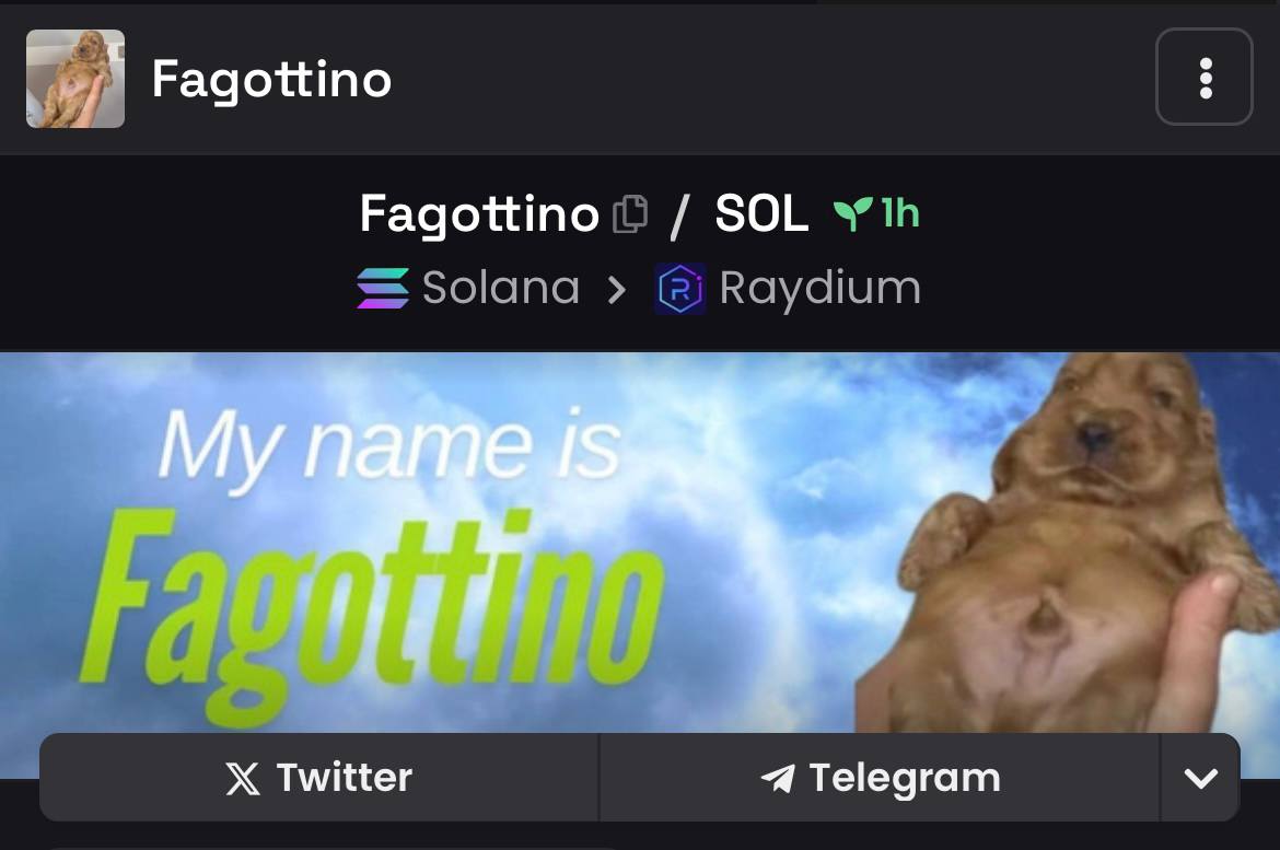 Fagottinosol's tweet photo. The correct name is now live on Dexscreener!

https://t.co/dKpzzK5CUM

Fagottino https://t.co/K1rSFneUbx