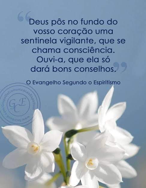 🌹
Deus pôs no fundo do vosso coração uma sentinela vigilante, que se chama consciência. Ouvi-a, que ela só dará bons conselhos

O Evangelho Segundo o Espíritismo