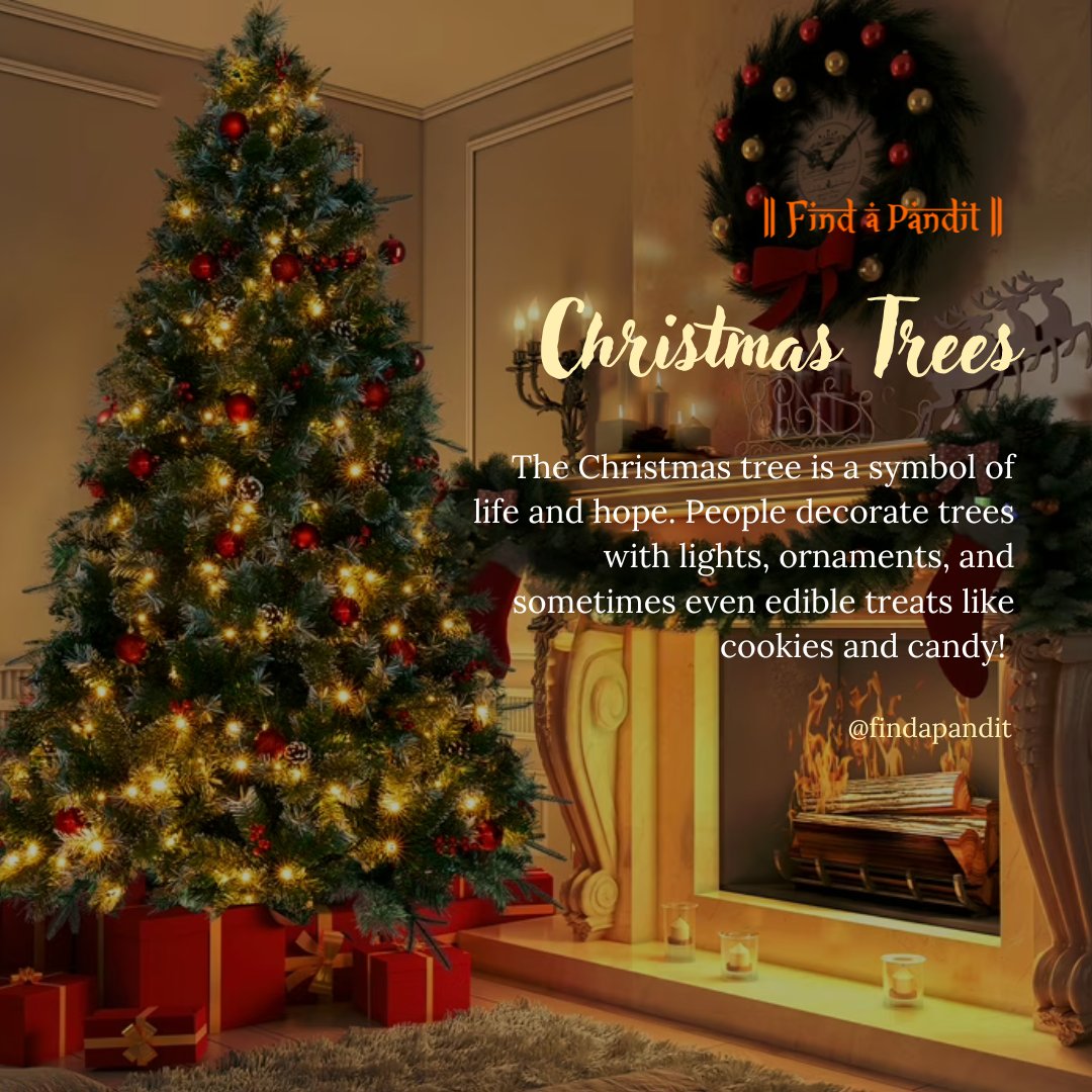 find_a_pandit's tweet photo. "A Christmas Tree, That Brings Us All Together"
Bring the magic of Christmas to life! 🌟 
The Christmas tree isn't just decor—it's a symbol of hope, joy, and togetherness. #ChristmasMagic #Festive #ChristmasTree #HolidayDecor  #TreeOfHope #ChristmasSpirit #Christmas #FindAPandit https://t.co/8sSm9K19lo