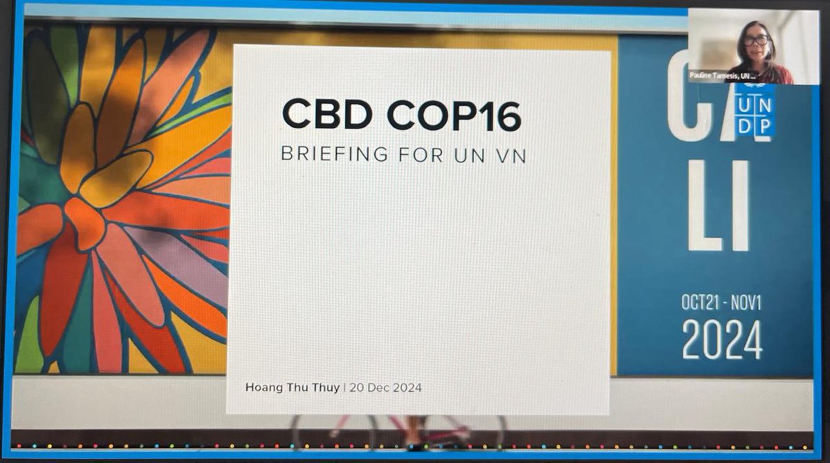 UNDP in Viet Nam tweet media