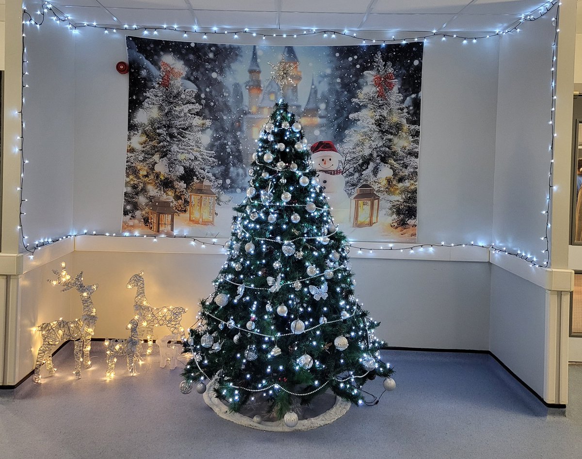 Arlene McNelis tweet media