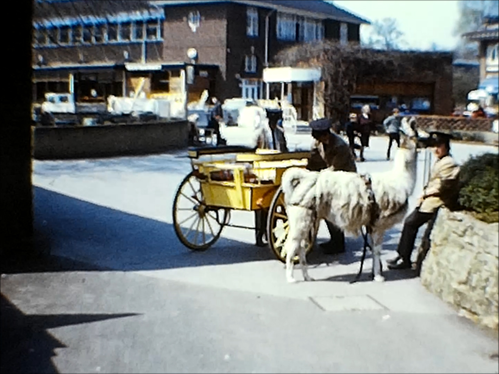 UnicornUnbound's tweet photo. The last piece of work before knocking off for Christmas - a silent Standard 8 cine film of London made in the early 70s.
#archives #London #OldLondon #TheBigSmoke #digitisation #CineFilm #Standard8 #LondonPhotos #work https://t.co/Y4BY2tBp5j
