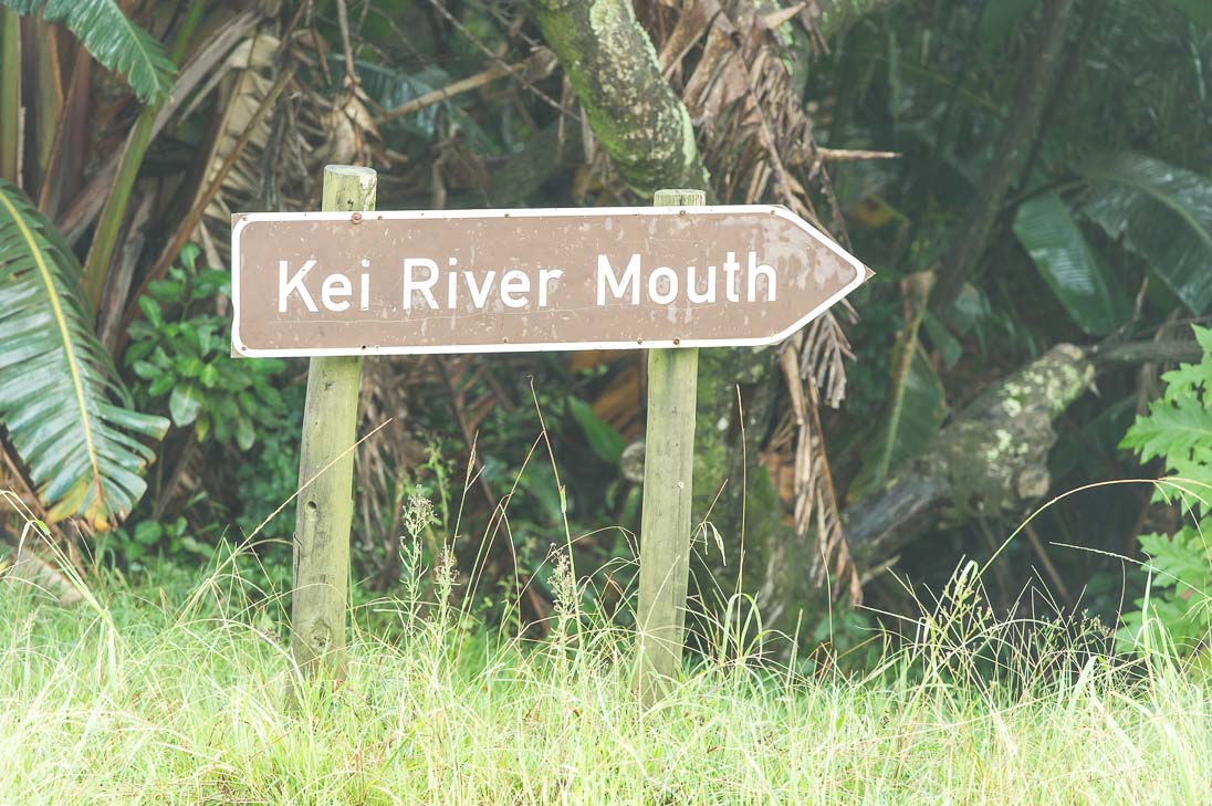 💙 MPAs to Visit - Amathole Marine Protected Area (MPA) 💙
📍 Eastern Cape, South Africa
🤿 Activities allowed: Shore angling in designated areas (permit required); Snorkeling; Kayaking; Beachcombing.

Stretching along the Eastern Cape coast, Amathole MPA protects vital marine