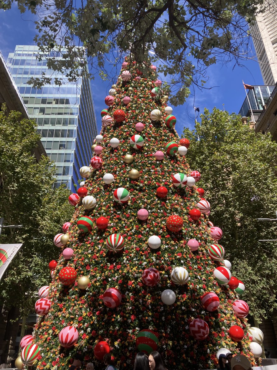 Amy Fallon tweet media