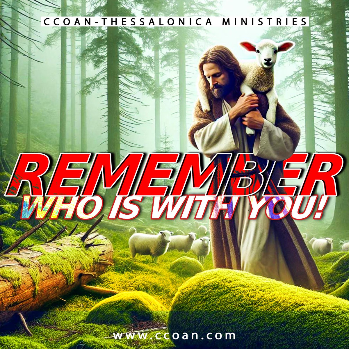 CCOANHarry's tweet photo. ''Shepherds often lose some of their sheep to perish, but our Lord Jesus Christ has vowed that none of His sheep shall perish, not even one!'' - T. B. Joshua  

#YourShepherd #HeIsWithYou
🌐https://t.co/0zoJprRGIE https://t.co/IqUGsUqb2W