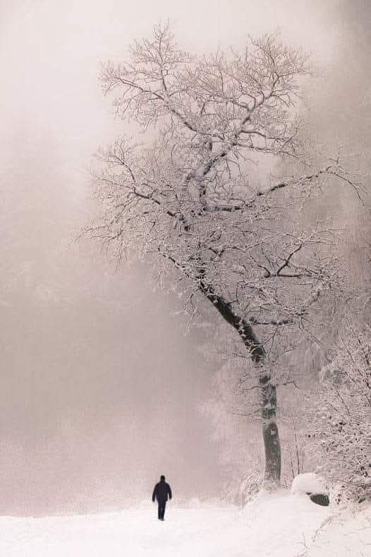 "كلما أصبحت أكثر هدوءًا،
  كلما سمعت أكثر."