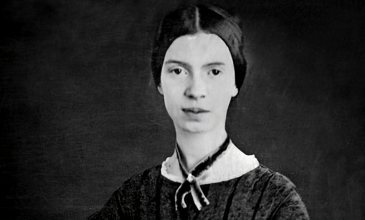Anne Vanschothorst tweet media