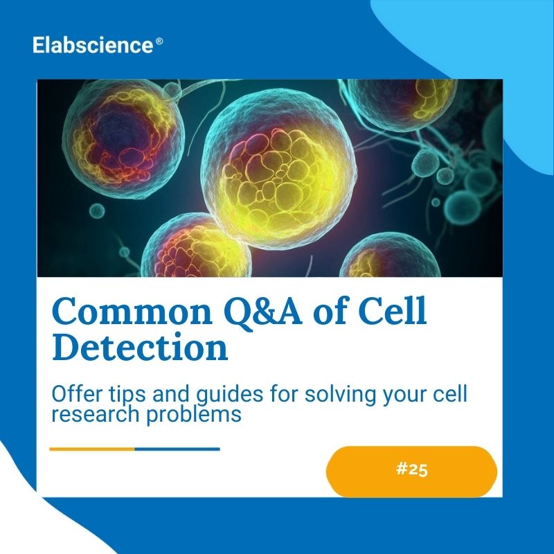 Elabscience_bio's tweet image. 𝐂𝐨𝐦𝐦𝐨𝐧 𝐐&amp;amp;𝐀 𝐨𝐟 𝐂𝐞𝐥𝐥 𝐃𝐞𝐭𝐞𝐜𝐭𝐢𝐨𝐧 #𝟐𝟓
🙋 How to measure apoptosis in cell culture?
💡 7 common techniques for your research 

#CellDetection #CellApoptosis #CellCulture #CellResearch #LabTechniques