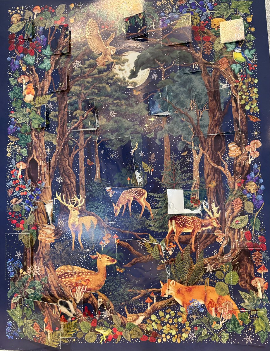 MarvellousMinds's tweet image. Day 23 of the writer&apos;s advent calendar... it&apos;s another lost butterfly! 
Today&apos;s challenge is to write a tanka about becoming something more than you seem.
#AdventChallenge
#WritingCommunity 
#WinterJoy