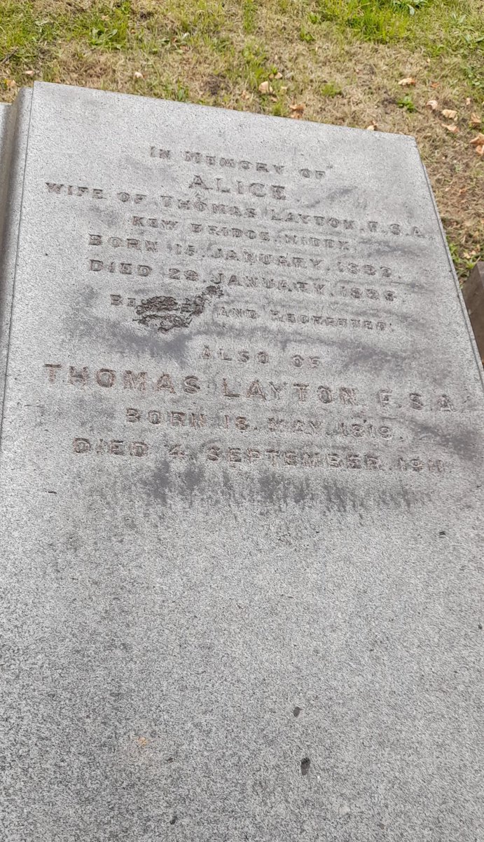 Layton Collection tweet media