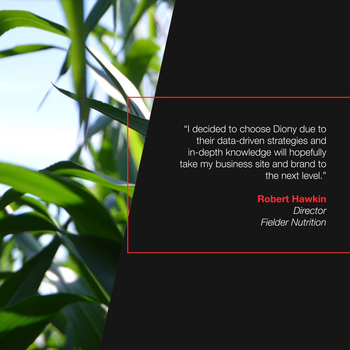 Incredible new partnership with Fielder Nutrition 🌱

We are thrilled to be working with Fielder Nutrition in the new year to develop an SEO and search-first strategy!

Keep your eyes peeled for what’s to come in 2025 🙌

#Diony #HullMarketingAgency #Marketing #MarketingPartner