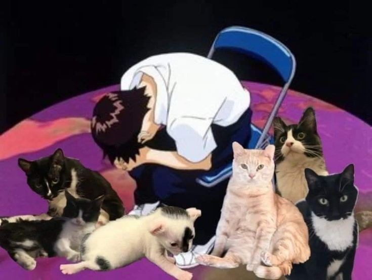 hii, looking for mutuals :3
- he/him ; 23
- infj, pisces  
- dbz, jjk, aot, overload, fma etc 

<3/rt are appreciated :3
#valtwt #anitwt #genshintwt