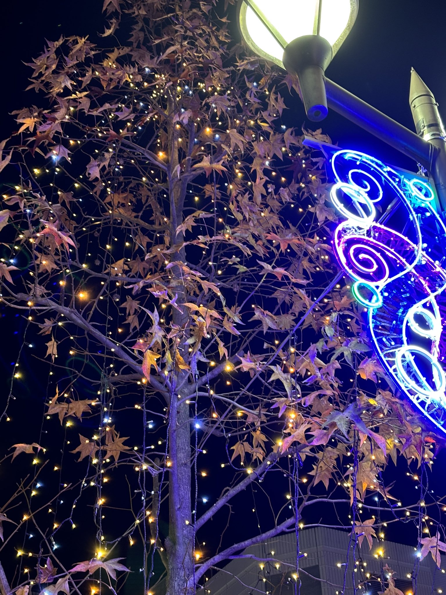 mizuイルミ - البحث / X