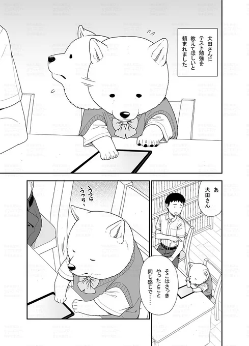 クラス一かわいい女の子に勉強を教える漫画です(1/2)
#犬田さん漫画 