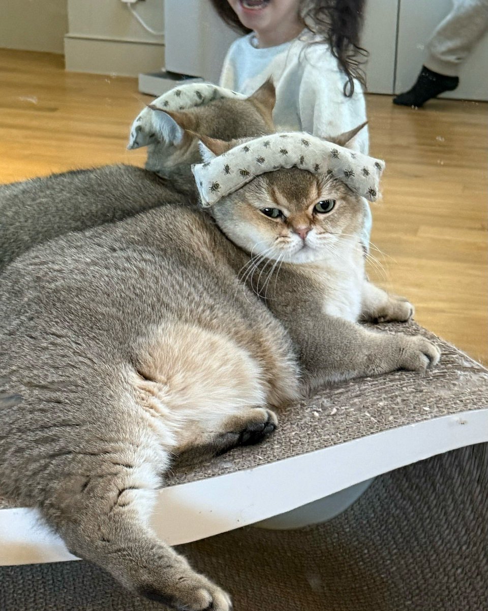 kanommr's tweet photo. อ้วนมากกกกก ไหนบอกนนลด ไหนบอกผอมลง🤣🤣🤣

#LISA #LFAMILY https://t.co/ePP0uWCAXi
