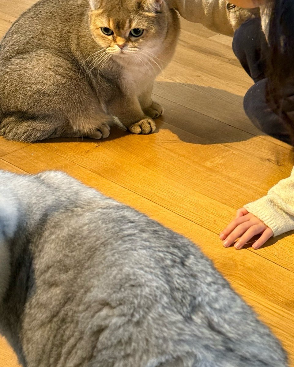 kanommr's tweet photo. อ้วนมากกกกก ไหนบอกนนลด ไหนบอกผอมลง🤣🤣🤣

#LISA #LFAMILY https://t.co/ePP0uWCAXi