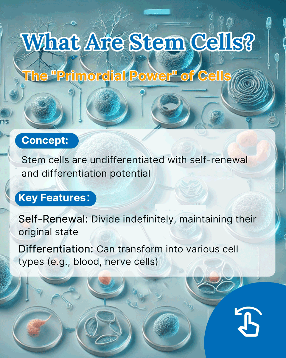 Elabscience Bionovation Inc. tweet media