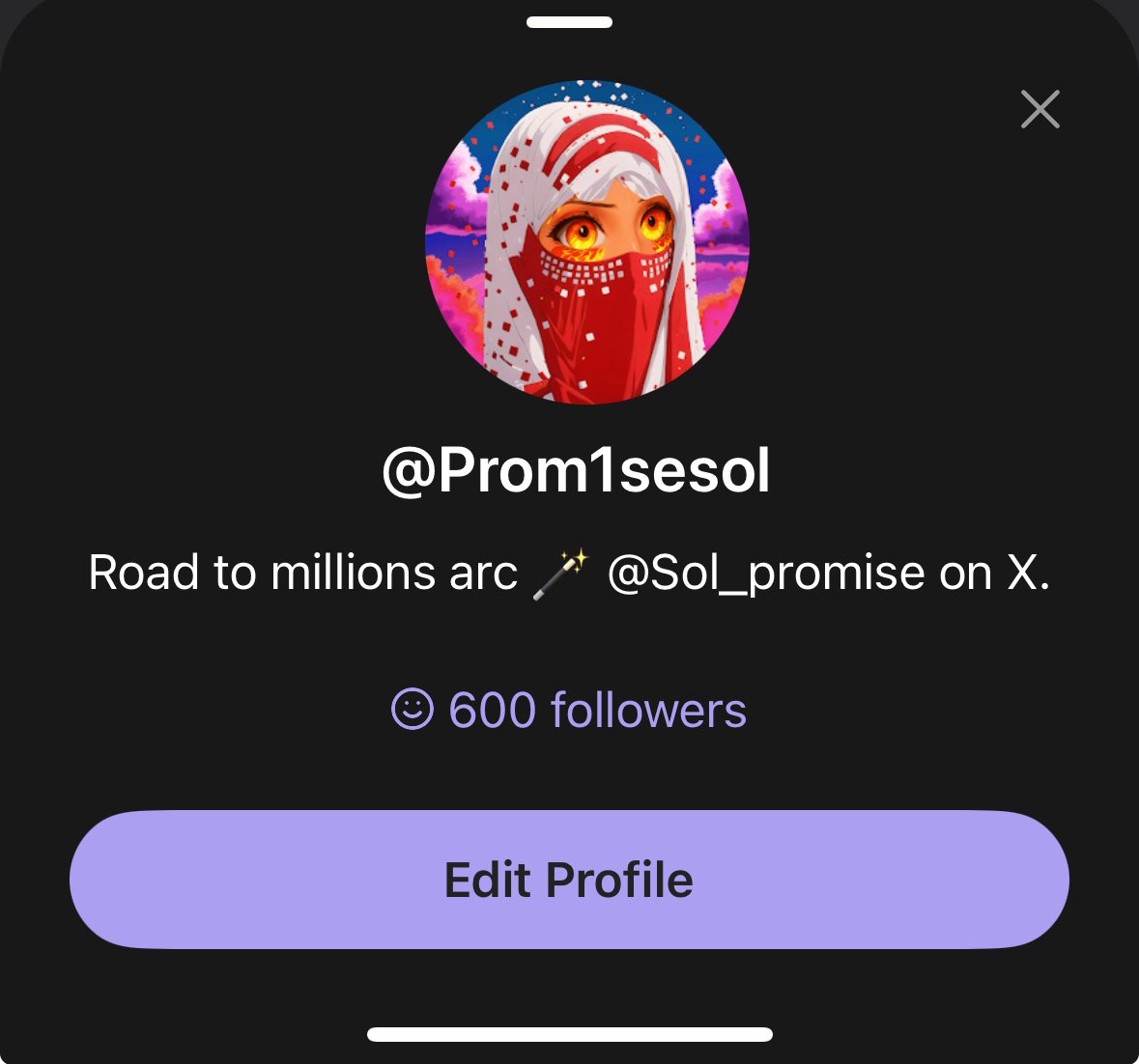 Promise.sol𓃵 tweet media