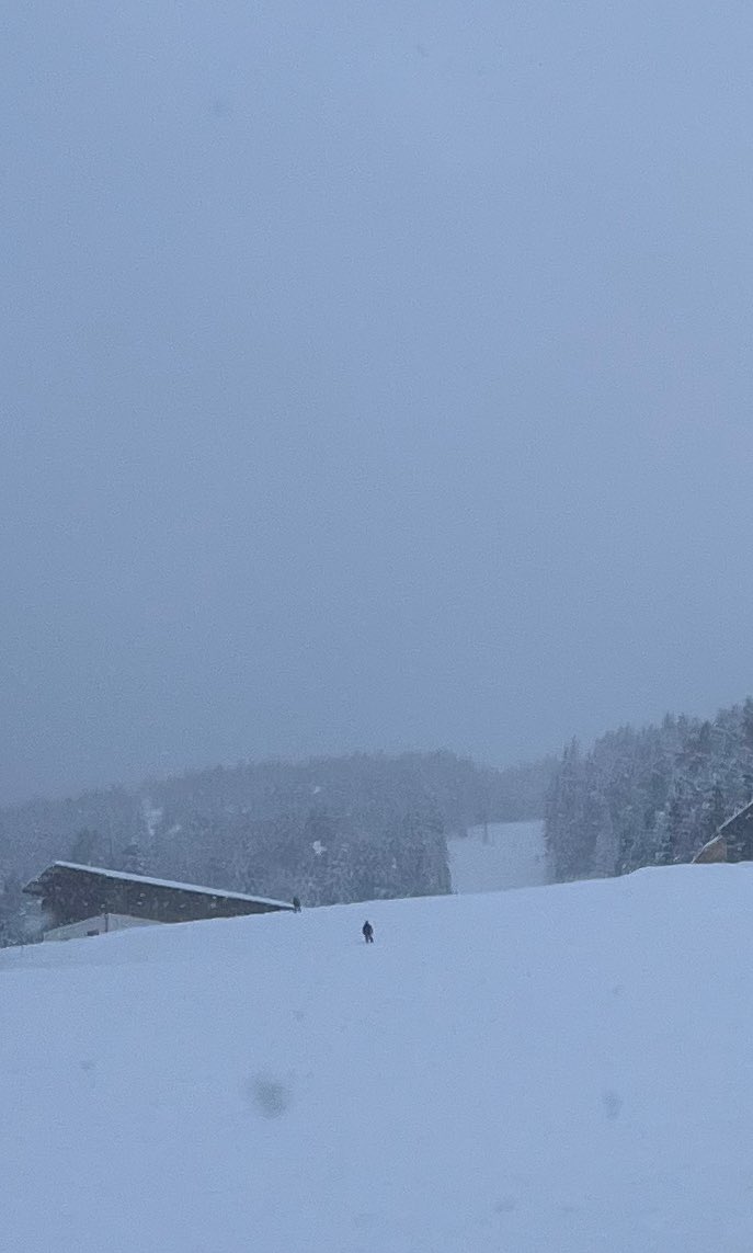 Happy Holidays to all the (snow) bunnies ⛷️ and great companions.