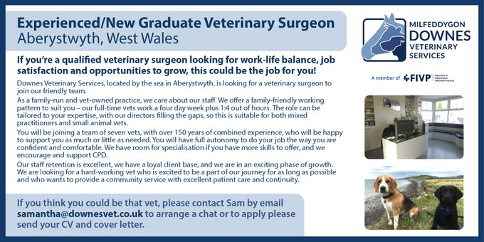 IVPCareers's tweet photo. Are you looking for work-life balance, job satisfaction, and opportunities to grow?  This family-run veterinary practice on the Welsh coast could be the perfect fit for you.  See the job description: https://t.co/g0aB2WrdXr………………… #vetjobs #vetcareers https://t.co/C7xuVmy7JW
