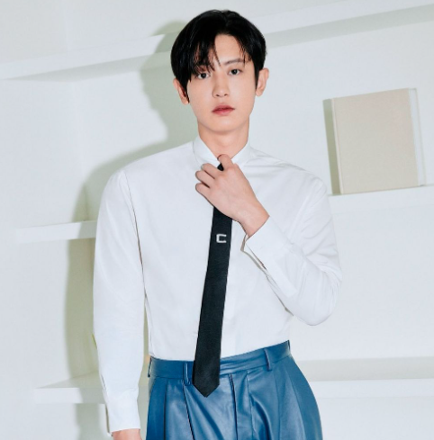 AboutMusicYT's tweet photo. Chanyeol of EXO has donated 20 million won to the Snail of Love organization, to support hearing impaired children https://t.co/cjRoD8iQVe