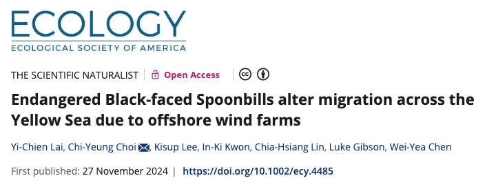 WWFAsianFlyways's tweet photo. 📄A newly published paper provided concrete evidence that offshore wind farms impact the migration of the Black-faced Spoonbill. The rapidly expanding wind energy development in Asia is posing more risk to the migratory waterbirds in the flyway. 🦢🦉🦆🦅
https://t.co/7UBC4K73Sn https://t.co/165eopFTjj