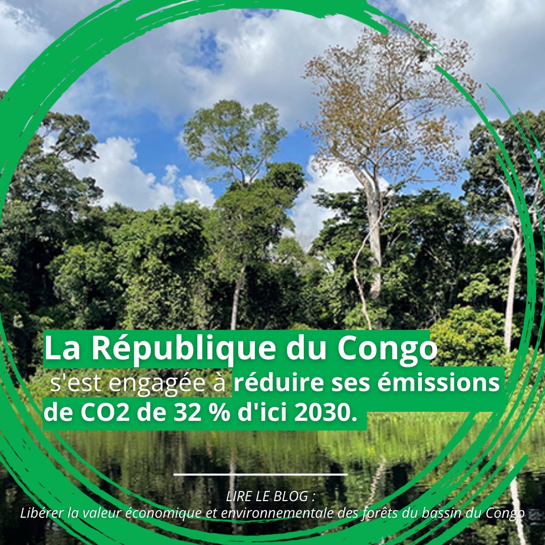 BM_Afrique's tweet photo. #LAfriqueAgit 2024 | Le bassin du #Congo, "poumon vert de l'Afrique", absorbe 6 fois plus de CO2 par an que la forêt amazonienne. Son écosystème est menacé : il importe de le préserver et le conserver !
Consultez le #CongoCCDR pour en savoir plus :
https://t.co/MSgCuC3xzV https://t.co/U2mDVvqsSx