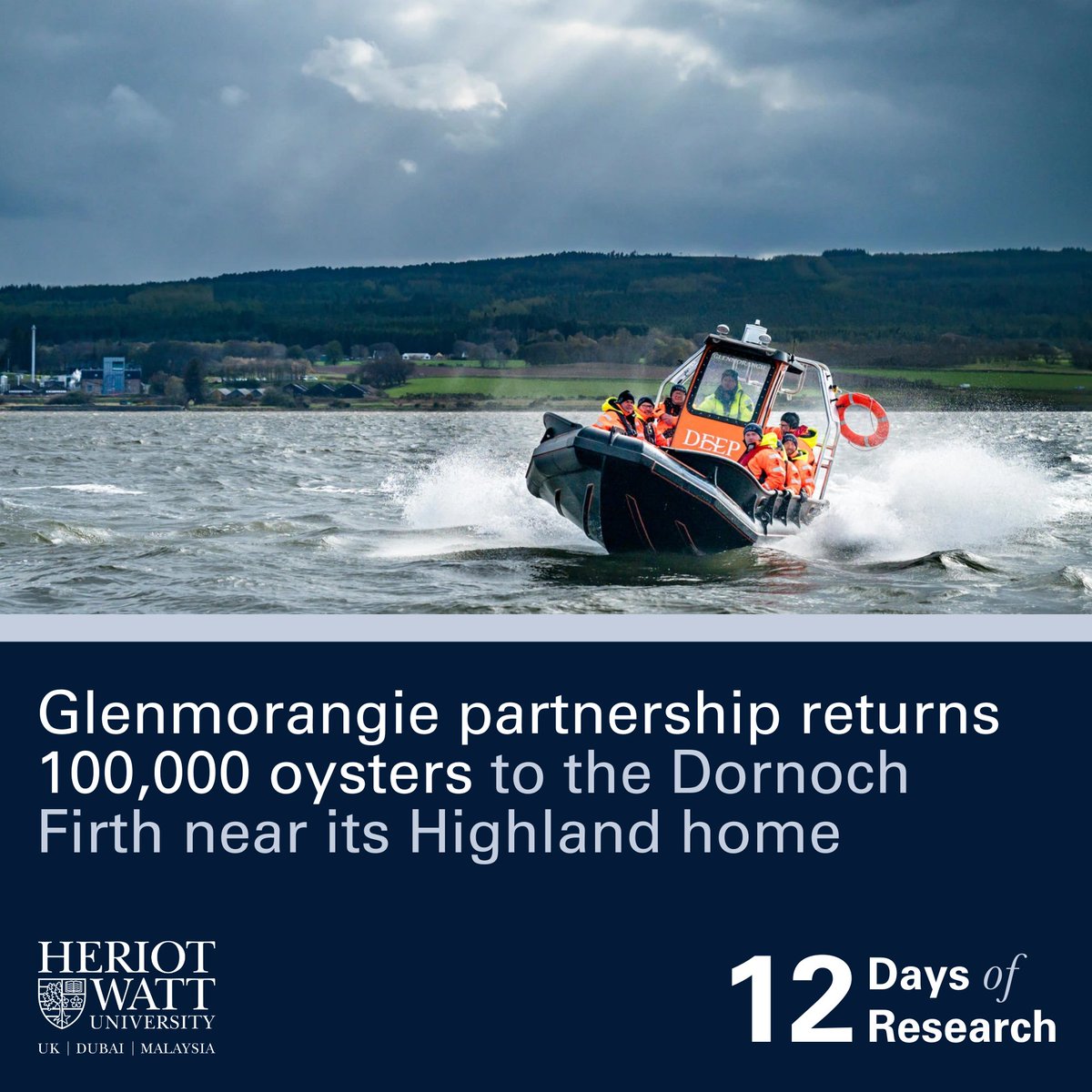 HeriotWattUni's tweet photo. In October, Glenmorangie and Heriot-Watt reached the amazing milestone of returning 100,000 oysters to the Dornoch Firth, as part of an effort to revitalise the ecosystem and bring back a reef lost over a century ago 🦪🌊
https://t.co/9uDgWZJKMm
#12DaysOfResearch https://t.co/gYx4y6oZ3h