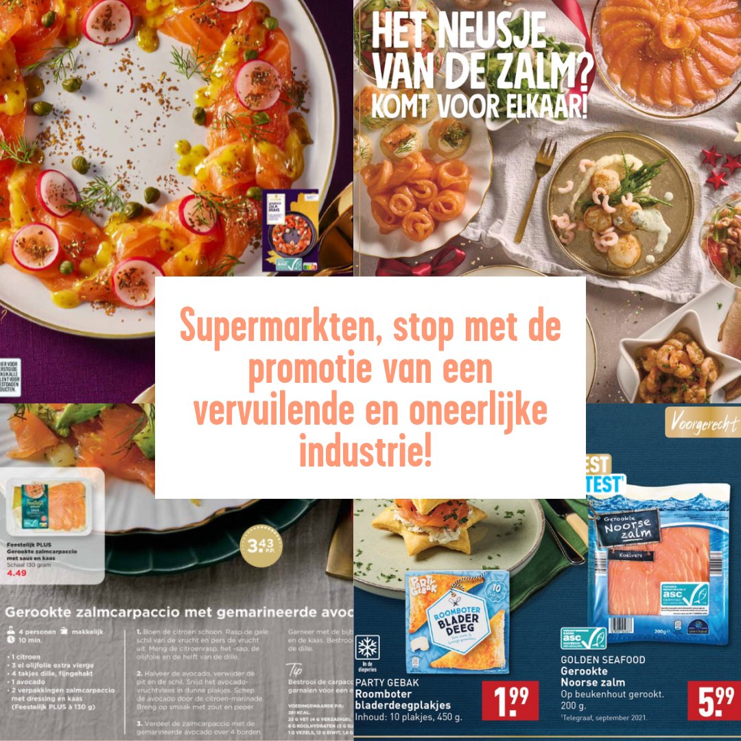 De zalm die momenteel in de kerstfolders staat, daar is niets feestelijks aan!❌
Zalmkwekerijen dragen bij aan:
👎Overbevissing
👎Ecologische schade
👎Sociale onrechtvaardigheid
Meer weten?: feedbackeurope.nl/het-kwaad-acht…
#DropFarmedSalmon #KerstZonderKweekzalm