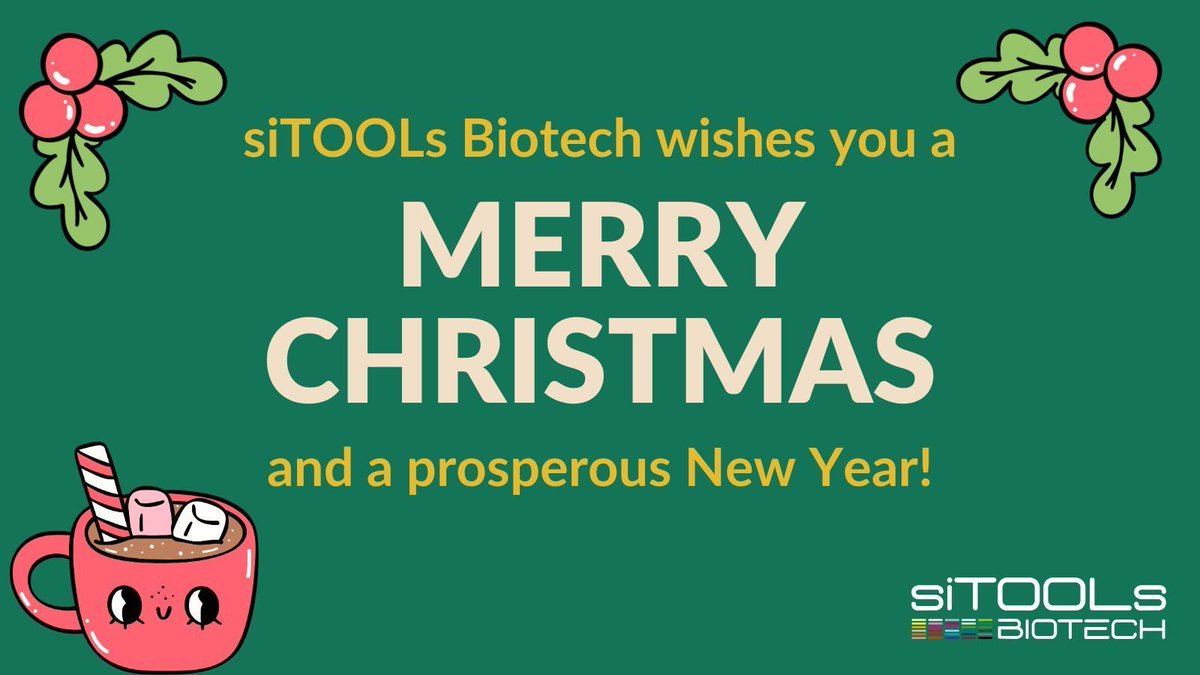 Happy Holidays from the siTOOLs Team! 🎄🎇🥂 We look forward to working with you in 2025 and wish you a peaceful and prosperous new year!