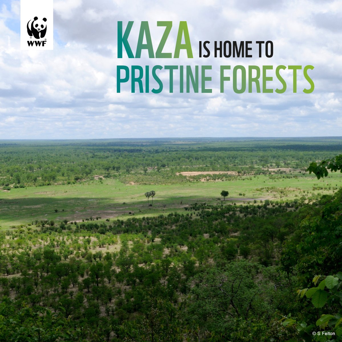 WWF Africa tweet media