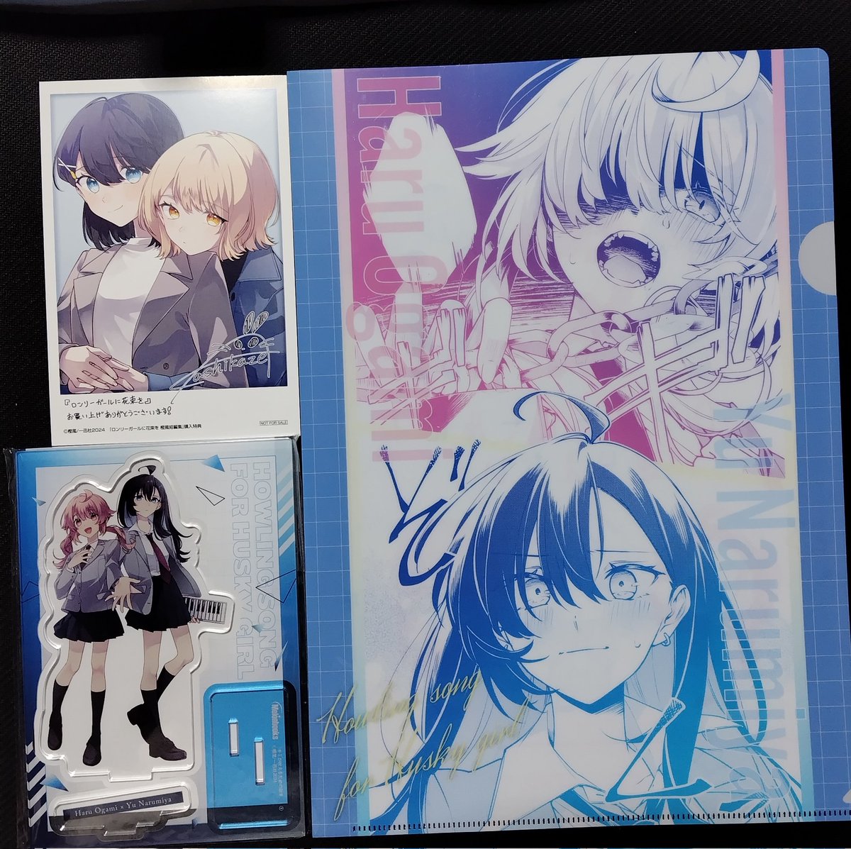 hoseyaga's tweet photo. 樫風先生の本が届いたー！短編集は同人誌で読んだの以外に初めて見る作品が多くニワカを痛感しながらもワクワクしながら読めました。
ロンガルのその後を今も感じられる幸せな1冊❤(ӦｖӦ｡) https://t.co/xxBa7X1VEP