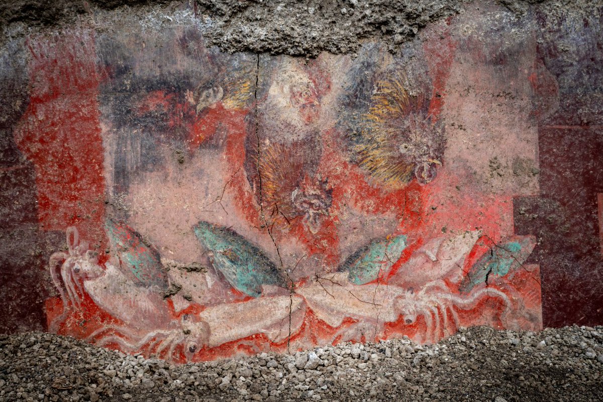 pompeii_sites's tweet photo. #Natale al Parco Archeologico di Pompei.
✅Affreschi di nature morte dagli scavi  Regio IX 
 ✅Riapertura vicoli della città antica e  Termopolio Regio V  
✅1 gennaio - Apertura straordinaria di tutti i siti Grande Pompei 
 ✅Appuntamenti Children’s Museum e  “Fattoria Sociale” https://t.co/Dy3J90KYLw