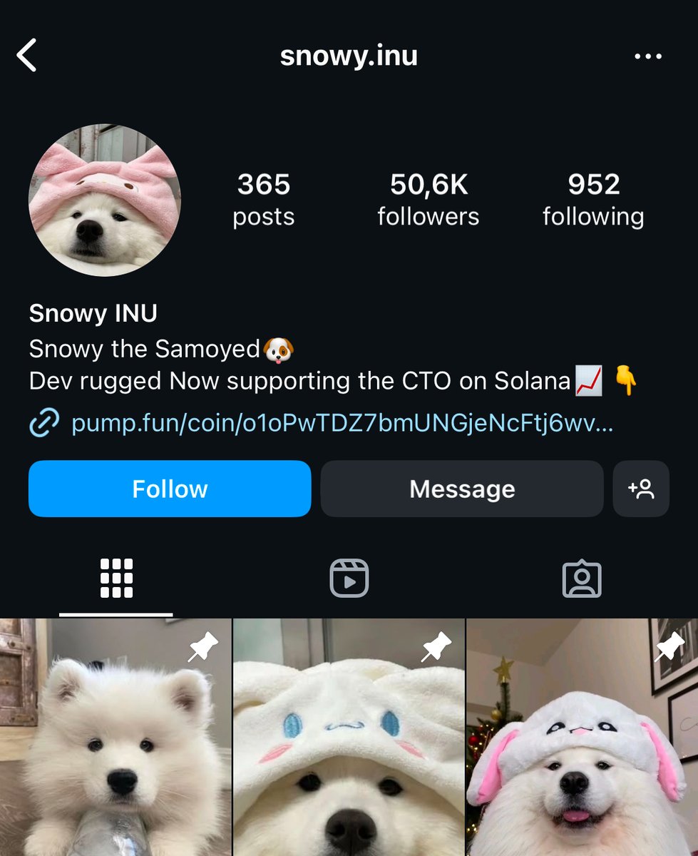 snowy__cto's tweet photo. The original @snowy.inu is now supporting or CTO!

o1oPwTDZ7bmUNGjeNcFtj6wvbMftGdJBGmNUZpXpump

$SNOWY https://t.co/Cr5yFyfmrL