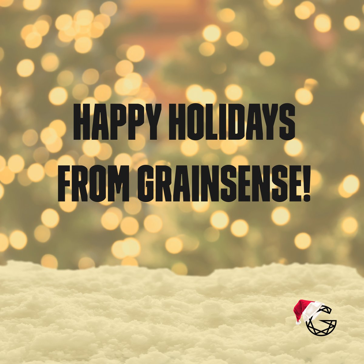 Season's Greetings from GrainSense! 🎉 

We are very grateful to all our distributors, users, and employees for making this year a success. Your trust, hard work, and support mean so much to us. 

Together, let's continue creating success in 2025! 🤝