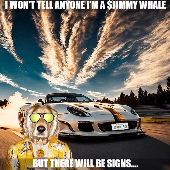100% of meme coins pumped by paid shitty influencers are going to 0 in 2 days 💩

Stop wasting your money stupidly.🦧 

Look for solid gems... 💎

A hint : $JIMMY by <a href="/JimmySolCoin/">Jimmy</a> 

💠Bullish on graph after 5 days. 
💠Dev based. 
💠Snipers out. 
💠Solid community.