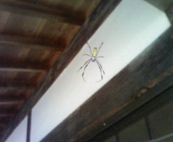 masterflat_mk2's tweet image. 