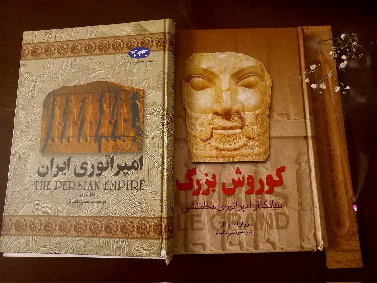 داشتم قفسه کتابهام رو مرتب میکردم ک اینا رو دیدم . این دو جلد کتاب رو سال ۱۳۸۵ از پارک ارم شیراز خریدم با اینکه خیلی ب کتاب های تاریخی علاقه دارم ولی هنوز ک هنوزه نتونستم بخونمش!
شما هم مثل من کتاب‌های نخونده دارین؟