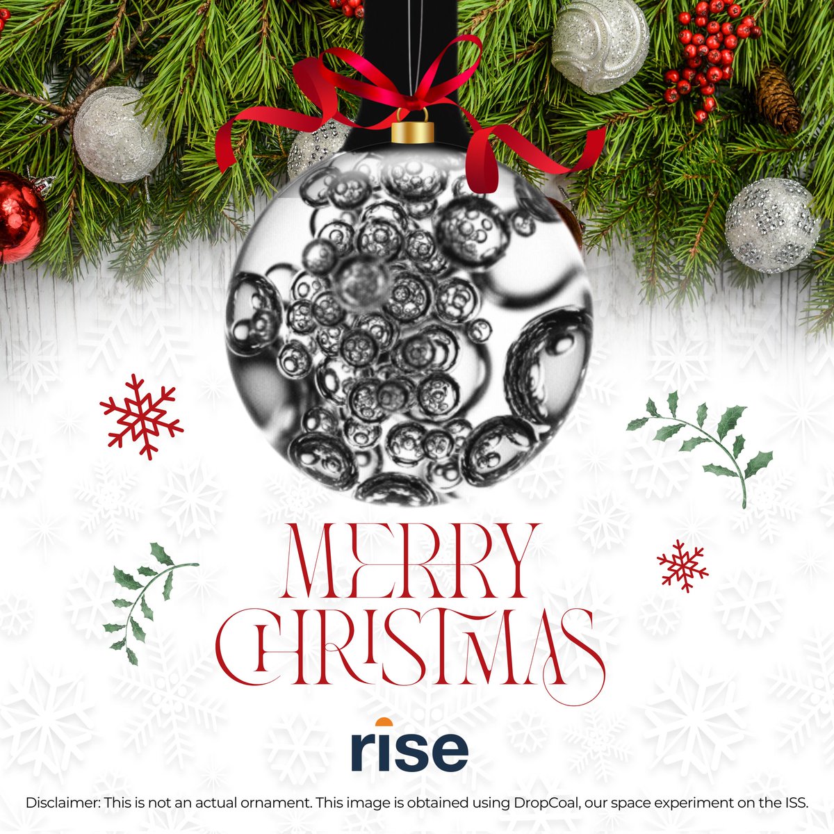 RomanianInSpaceEngineering tweet media