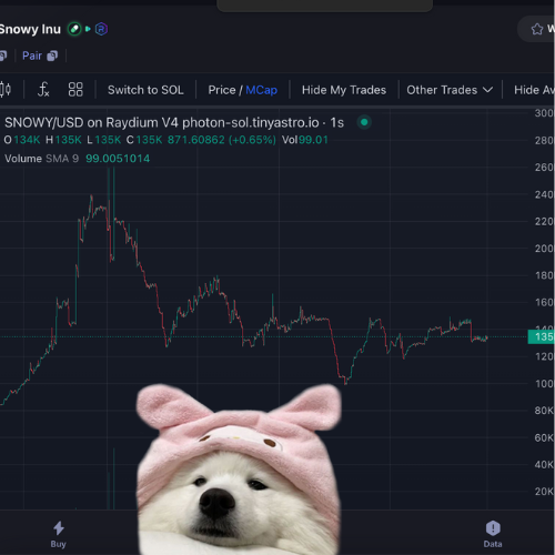 snowy__cto's tweet photo. 130k looks like a nice floor $SNOWY chillin here.. https://t.co/4XFDKOn8ZZ