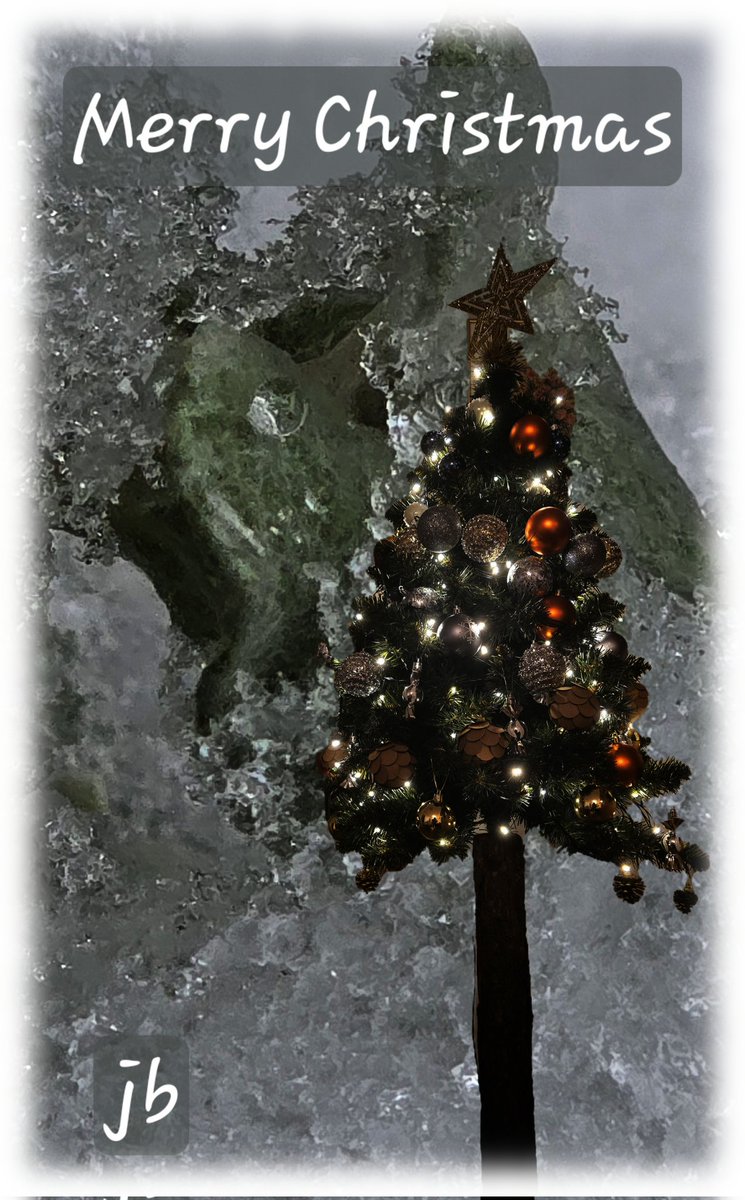 justyna_buszko's tweet image. Merry Christmas! 🌲🌲🌲🌲🌲